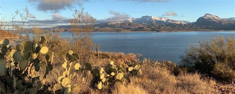 Tonto Basin : The Arizona Native Plant Society