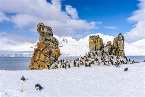 South Shetland Islands - Antarctica - Journey Latin America