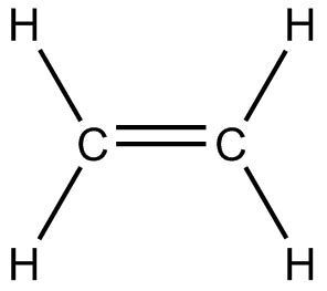 The structure of CH2 = CH2 is: | Chemistry Questions