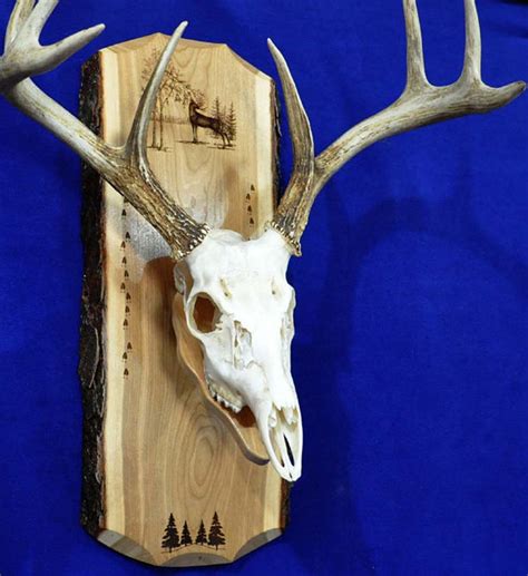 Deer Mount Plaque Templates