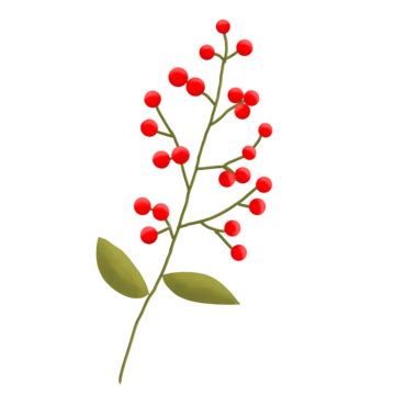 Berries Clip Art PNG Transparent Images Free Download | Vector Files | Pngtree