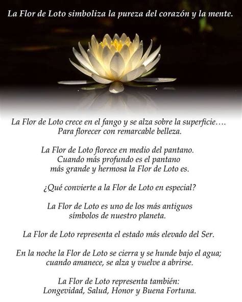 Flor de Loto | Meditación | Flor de loto, Tatuajes flor de loto y Flor ...