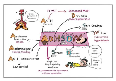 Addison Disease : primary adrenal insufficiency - Creative Med Doses