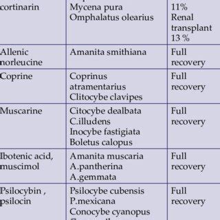 (PDF) Mushroom Poisoning