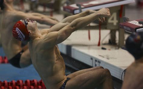 Men’s swimming and diving caps undefeated season | Indiana Daily Student