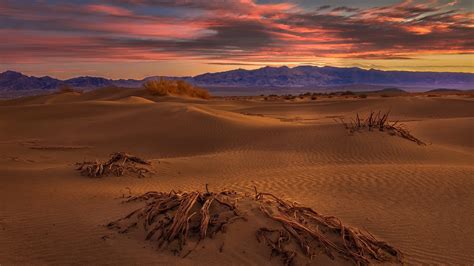 Desert HD Photography 2021 Wallpaper, HD Nature 4K Wallpapers, Images and Background ...