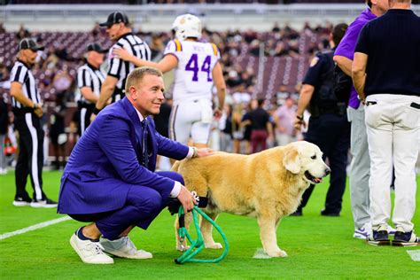 Kirk Herbstreit Shares Adorable Photo Of Dog After Thursday Night ...