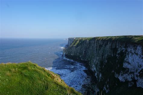 Nature Reserve Spotlight: Bempton Cliffs – Exploration Journal