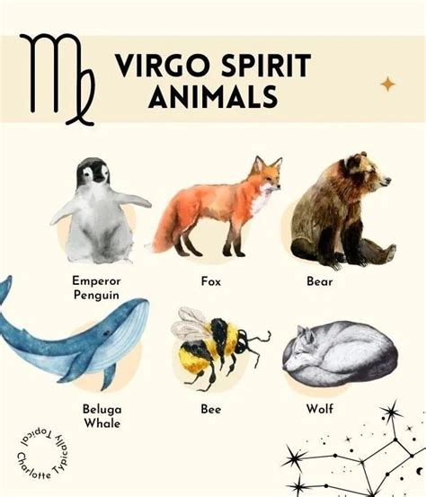 zodiac signs with different animals and their names