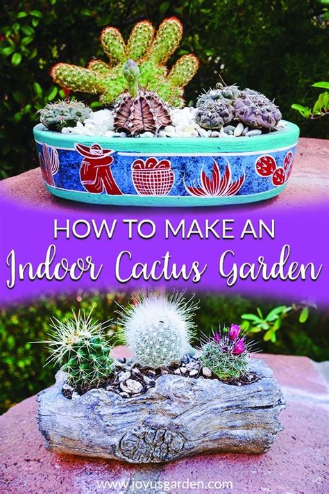 How to Make an Indoor Cactus Garden - Joy Us Garden