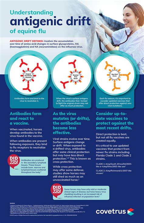 Understanding antigenic drift | Infographic