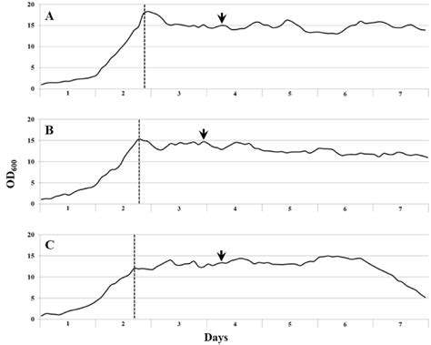 Growth dynamics of the methanotrophic consortium Ch1 in bioreactors ...