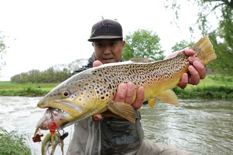 PA Fly Fishing: 5 Biggest Trout from Spring 2017 - Trout Haven