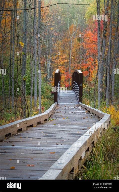 The hiking trails into the Saint Peters Dome recreational area in the ...