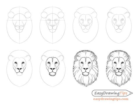 How to Draw Lion Face & Head Step by Step - EasyDrawingTips | Cara ...