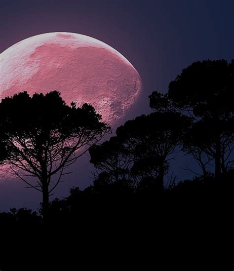 The Strawberry Moon Is Upon Us: Everything You Need to Know 🍓