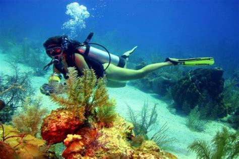 scuba-diving-catalina-island-woman-diver-in-coral-reef - Costa Rica Dive and Surf