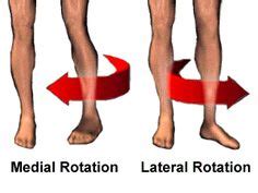 87 Cool Movement of the body & Measurements ideas | physiotherapy, free education, movement