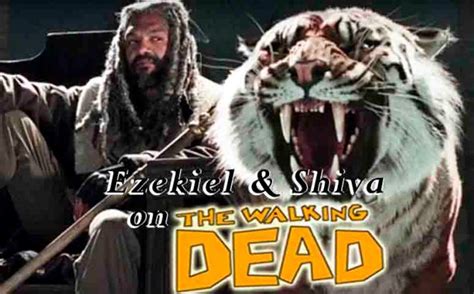 Walking Dead to introduce King Ezekiel & Shiva