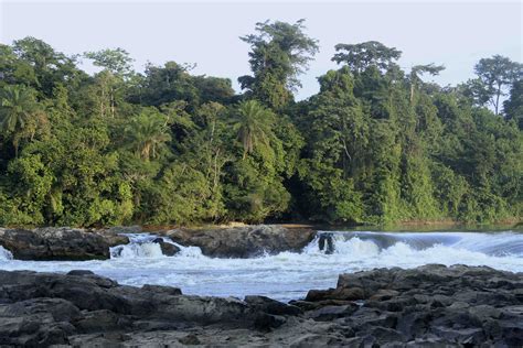 Discover Gabon | National Parks