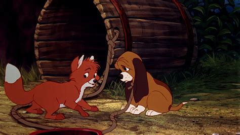 The Fox and the Hound (1981) | MUBI