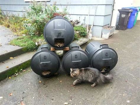 Feral cat shelter | Feral cat shelter, Outdoor cat shelter, Feral cats