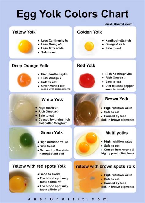 Egg Yolk Color Chart - What Color Safe to eat