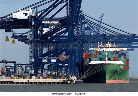 Hutchison Ports begins building new container yard at UK port of Felixstowe - PORTS - SeaNews