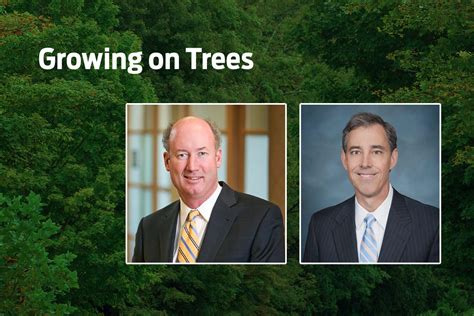 Deltic Timber and Potlatch, Made for a Merger | Arkansas Business News | ArkansasBusiness.com