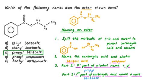 Ester Molecule Structure