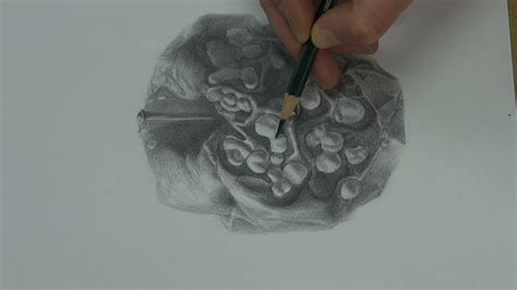 Rotten Apple Drawing at PaintingValley.com | Explore collection of ...