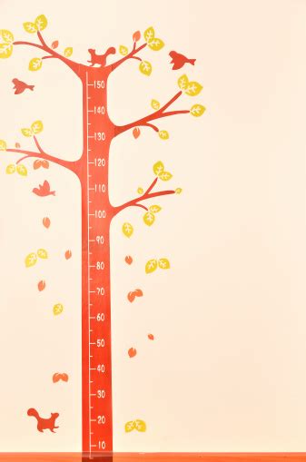 Height Scale On The Wall Stock Photo - Download Image Now - iStock