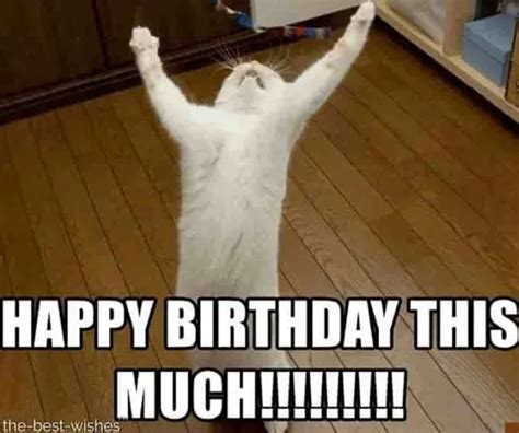 55 of the BEST Happy Birthday Memes - Thrifty Nifty Mommy