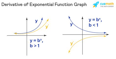 Derivative of Exponential Function - Formula, Proof, Examples