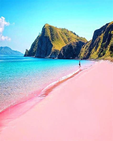 Vacations | Travel | Nature on Instagram: “Pink Beach 💕 Komodo Island, Indonesia. Photo and ...