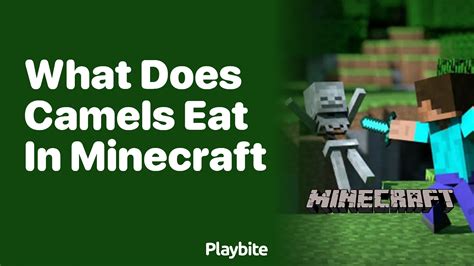 What Do Camels Eat in Minecraft? - Playbite