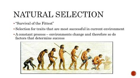 Natural selection