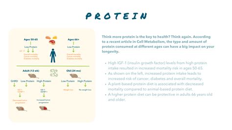 The Science behind the Longevity Diet – Nutrition For Longevity Meal Delivery