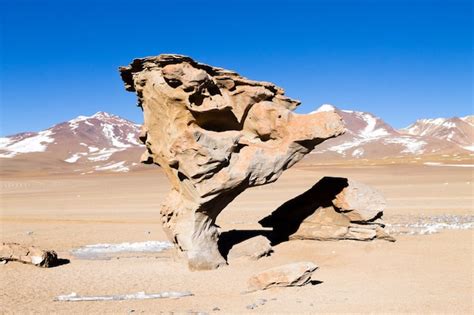 Premium Photo | Stone tree rock, bolivia. bolivian landmark. arbol de ...