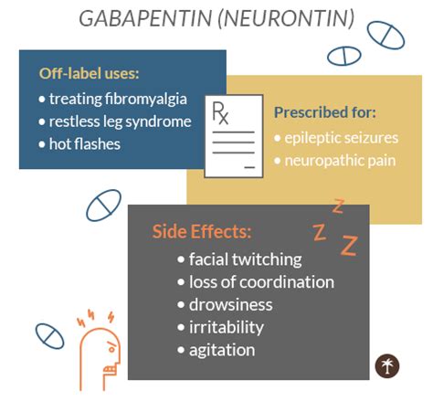 Gabapentin Drug Guide