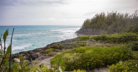 An Explorer's Guide to Bermuda Hiking Trails | Bermudiana Beach