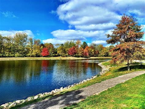 Lots of rainbow trout now swimming in the Westlake Recreation Center ...