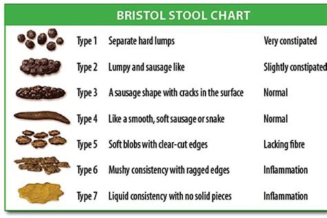 Pin on poop chart