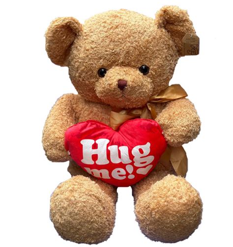 Teddy Bear Hug Me | STUFFED ANIMAL | vietgifts