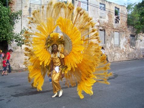 Pin by Samantha Farley-Cusseaux on Random Wackiness | St. croix, Carnival, United states virgin ...