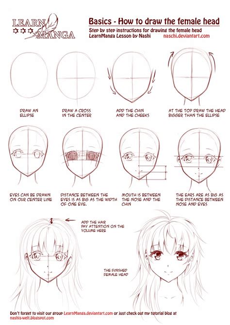 Anime anatomy basic drawing tutorial | JAPANESE ANIME ART