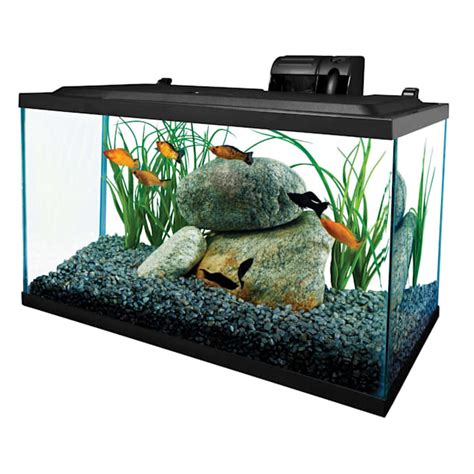 Tetra 10 Gallon Glass Aquarium Tank for Fish & Decor