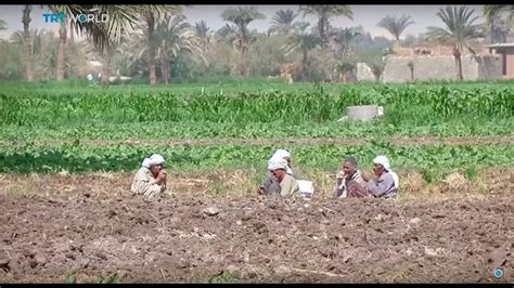 Money Talks: Farming without water in Egypt - YouTube