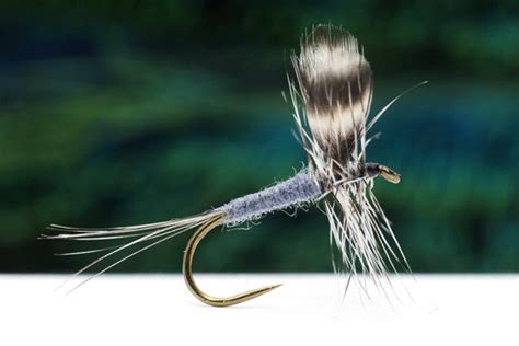 Category Archive for "Classic dry flies" | Fly Tying