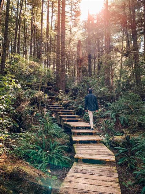 TOFINO HOT SPRINGS TOUR | West Coast Adventure - The Coastal Campaign